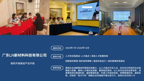 广州组织发展咨询领域的2026年使命升级 技术权威品牌再定义与行动展望