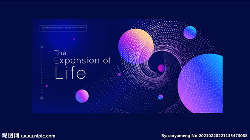 新品发布会盛典即将启幕